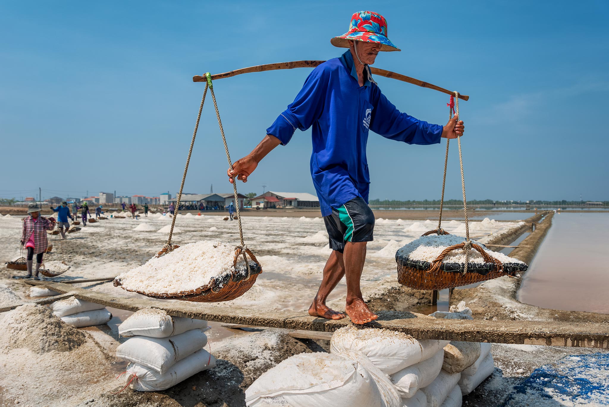 Salt harvest 