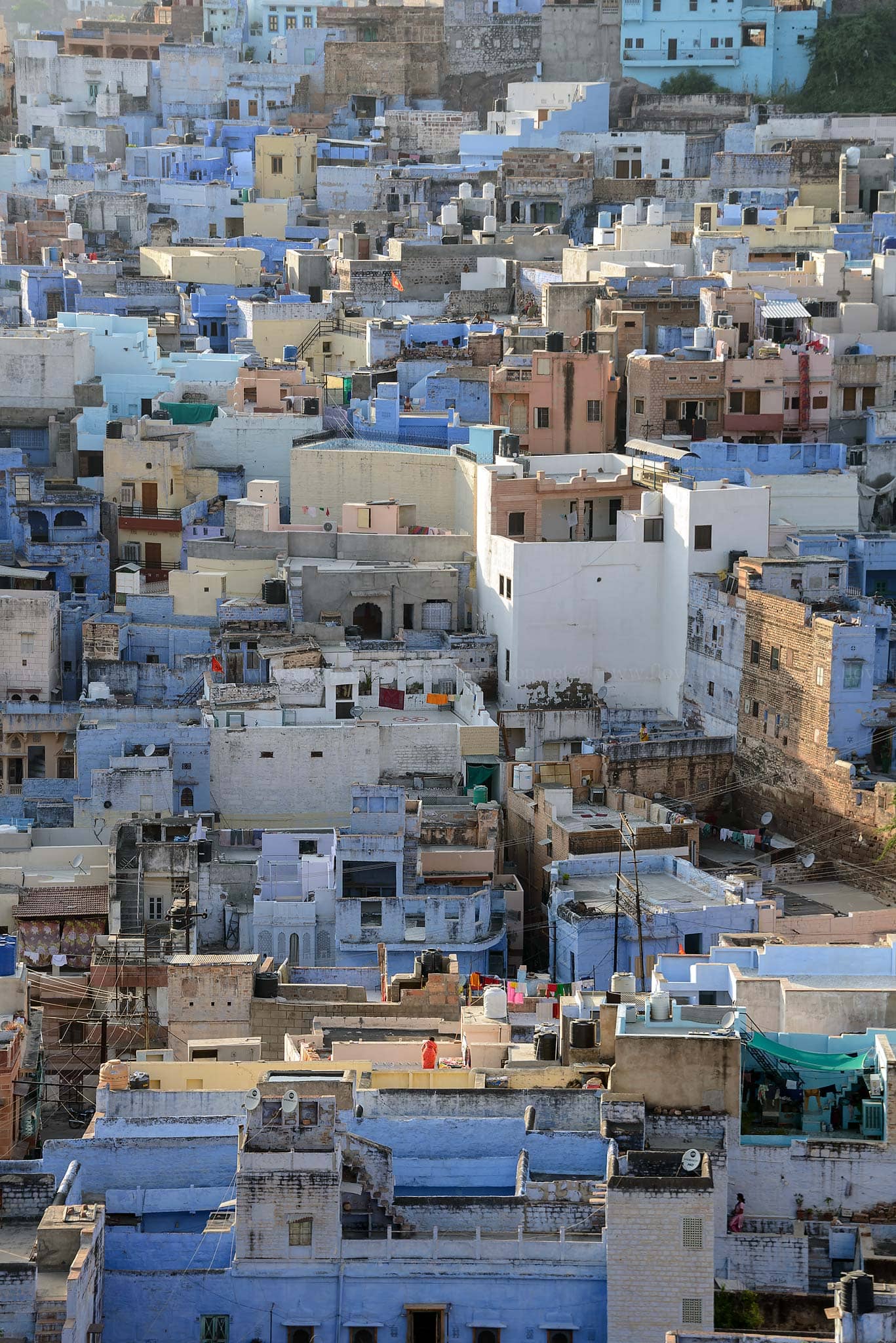 Jodhpur, Rajasthan, India