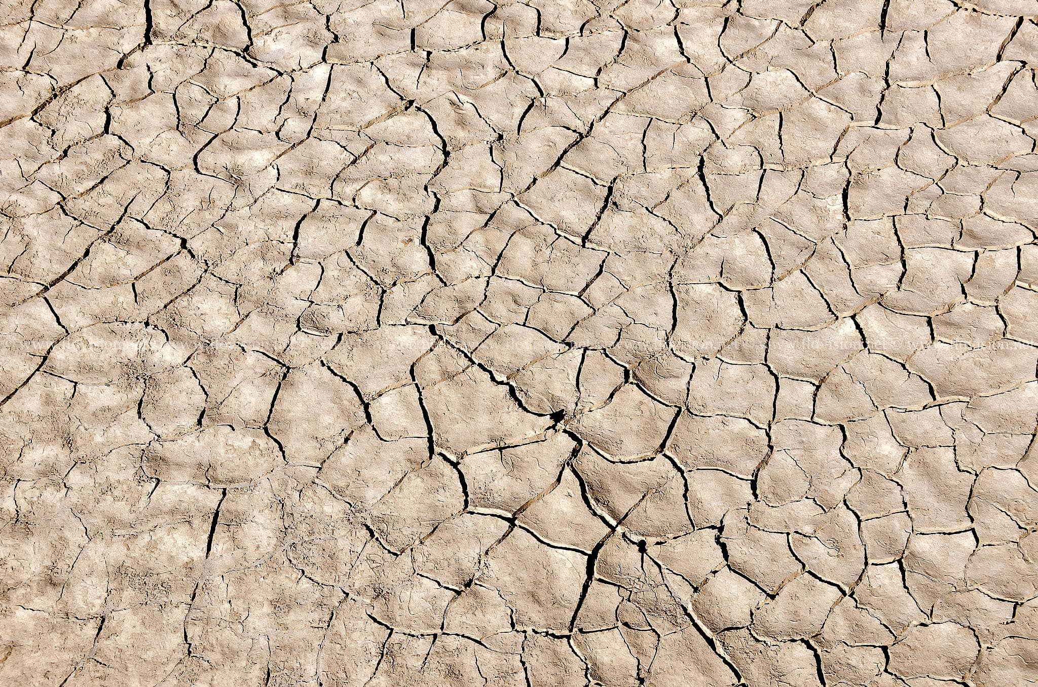 Mekong dry